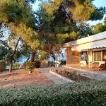 Pine Tree Beachfront Villa Drosziá