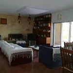Pine Tree Beachfront