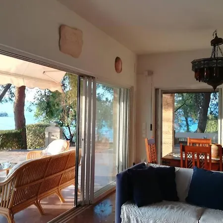 Pine Tree Beachfront * Drosia (Central Greece)