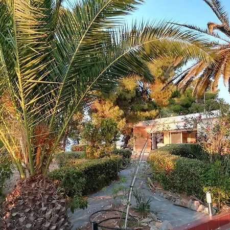Villa Pine Tree Beachfront *