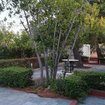 Pine Tree Beachfront דרוסיה