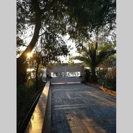 Pine Tree Beachfront * דרוסיה