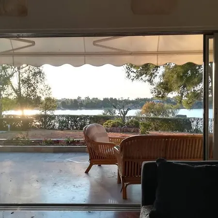 Pine Tree Beachfront