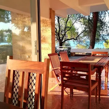 Pine Tree Beachfront