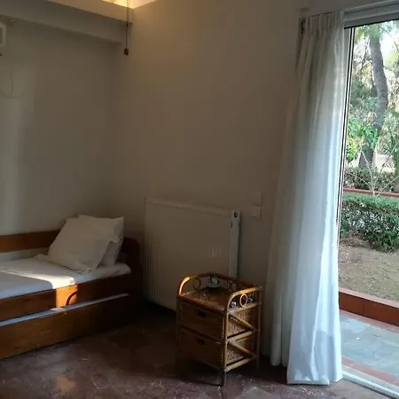 Pine Tree Beachfront דרוסיה