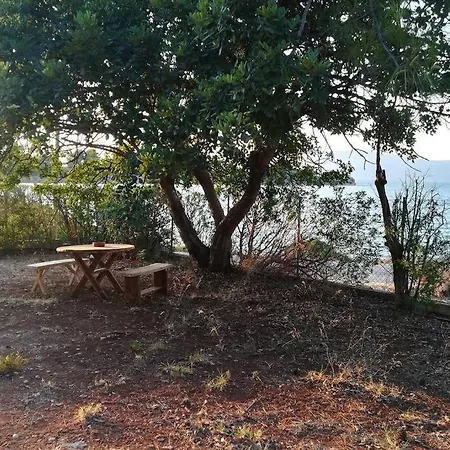 Pine Tree Beachfront Villa *