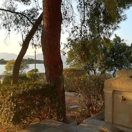 Pine Tree Beachfront Villa Drosziá