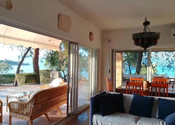 Pine Tree Beachfront * Drosia (Central Greece)