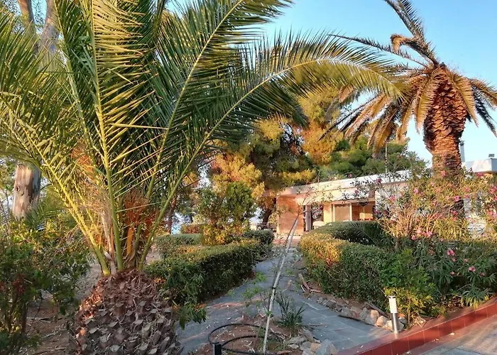 Villa Pine Tree Beachfront *