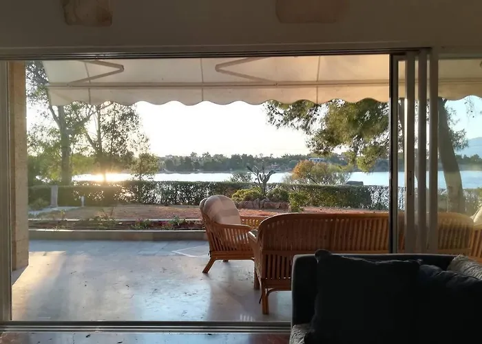 Pine Tree Beachfront