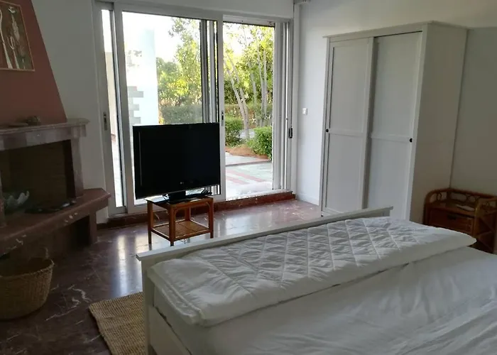 Pine Tree Beachfront * Drosia (Central Greece)