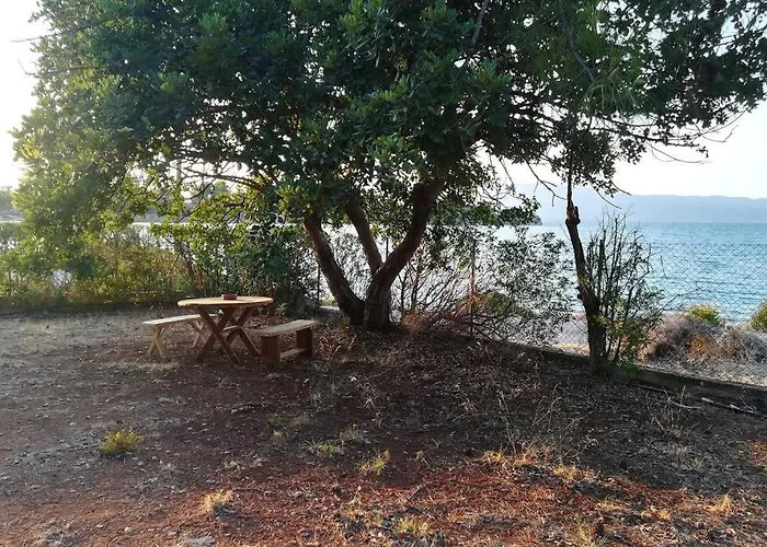 Pine Tree Beachfront Villa *